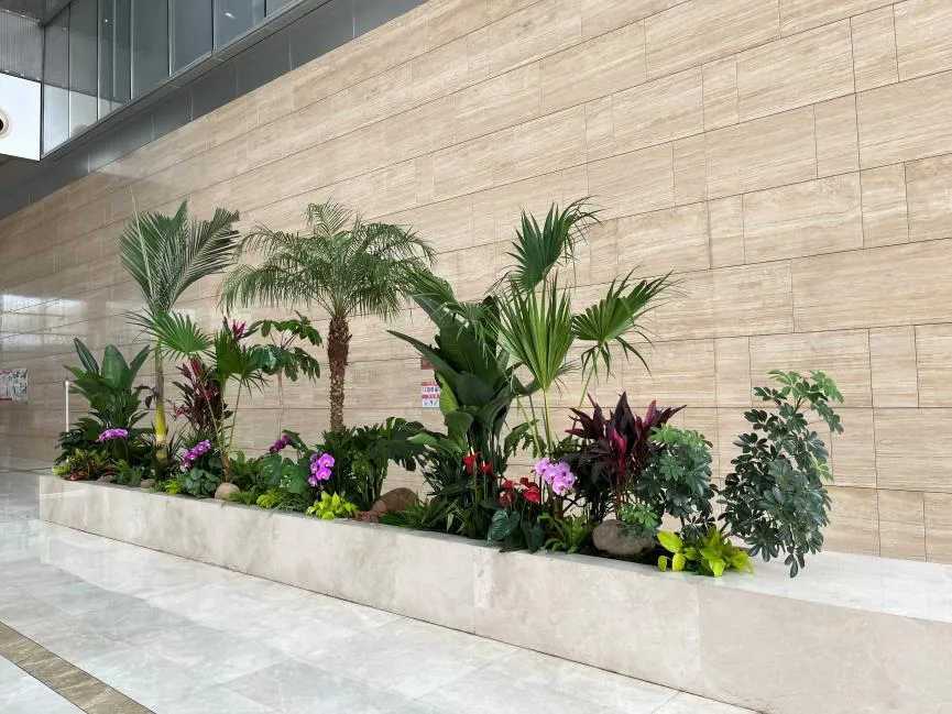 你知道江北花卉租摆价格背后的秘密吗？